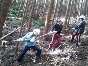 林業体験　間伐体験の様子